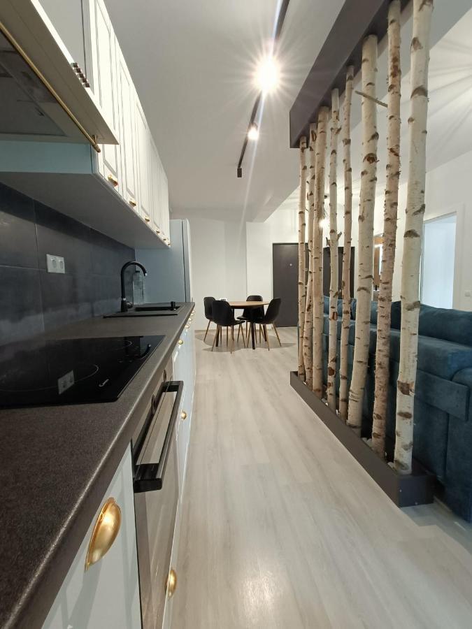 Apartament Apartament Cochet Cu Design Modern Floreşti Zewnętrze zdjęcie